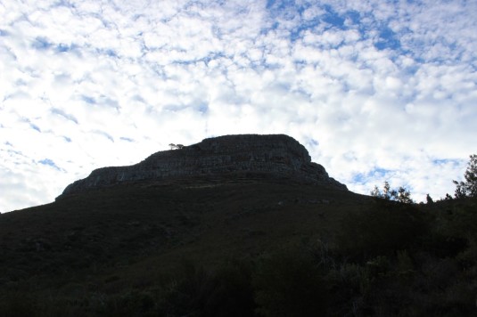 Lions Head