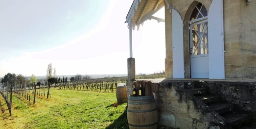 Bordeaux – ein guter Wein und noch viel mehr