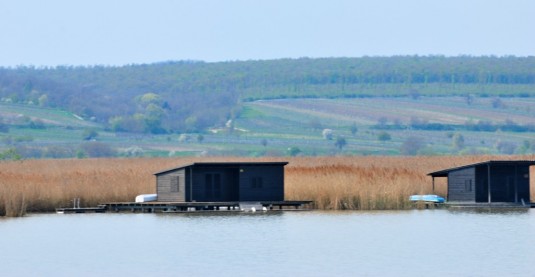 Seehäuser im Schilf