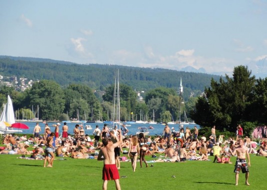 Rentenwiese