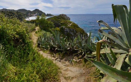 Wilde Küste und kleine Buchten: San Andrea – Marciana Marina (© Heinz Staffelbach)