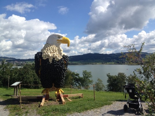 Der Weisskopfadler aus Kürbissen über dem Pfäffikersee