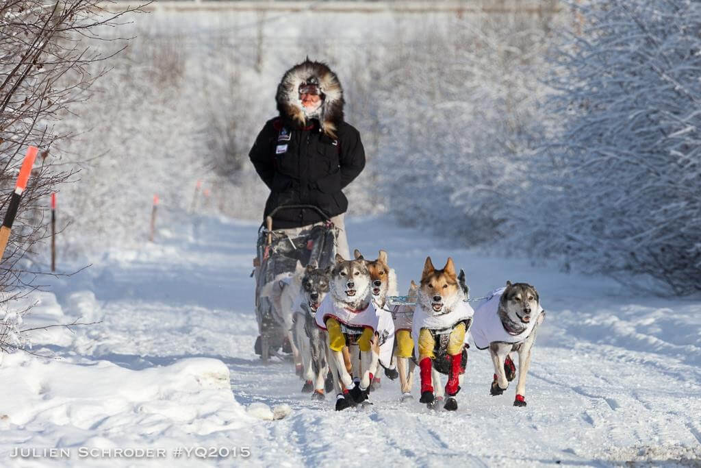 Yukon Quest – das härteste Hundeschlittenrennen der Welt