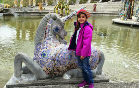 Hier-bin-ich-vor-einem-Einhorn