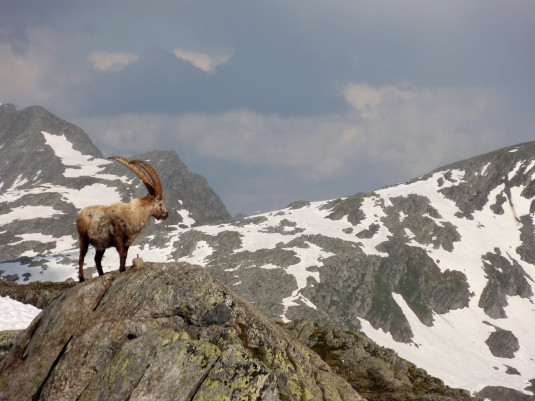 SAC_Cadlimo_Hütte_TI