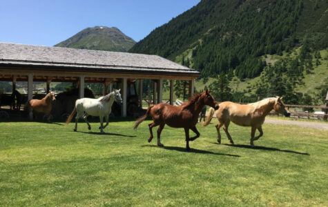 Titelbild-Livigno-Highlights-für-Familien