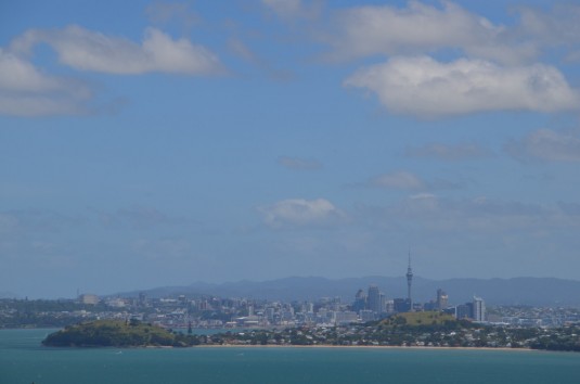 DSC_0724