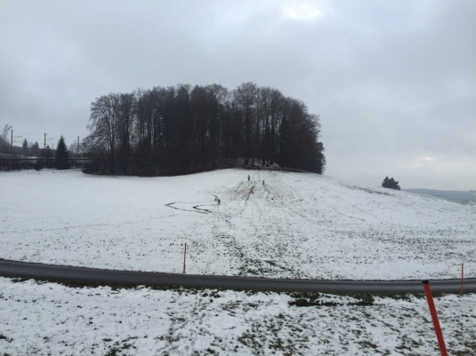 Schlitteln auf dem Uetliberg bei Ringlikon - ok hier braucht's noch mehr Schnee