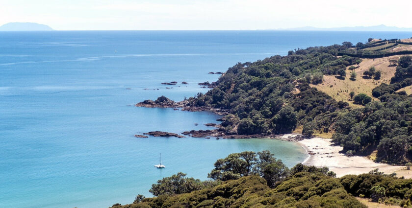 Waiheke – Neuseelands mediterrane Trauminsel