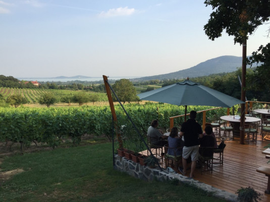 Ausblick von Istvándy