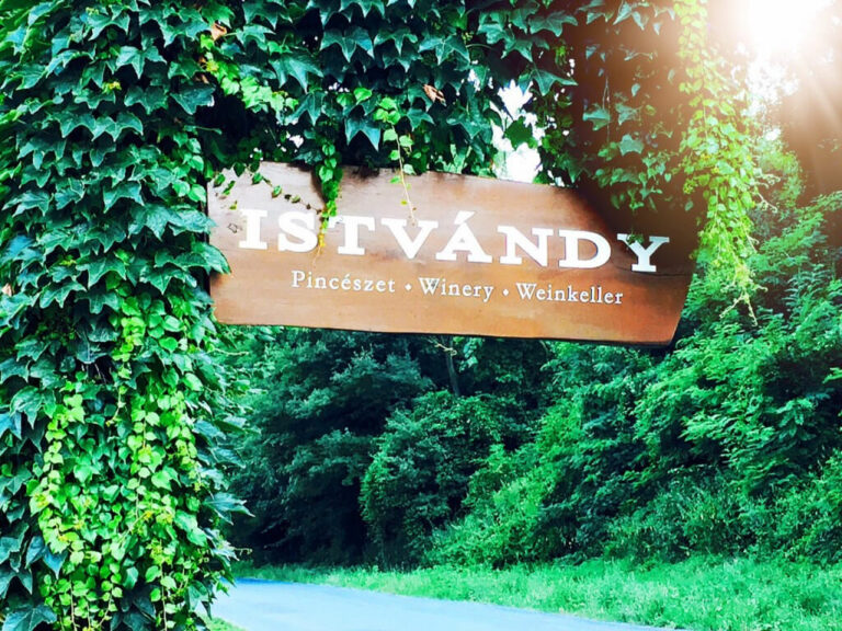 Wine & Dine, Discover & Sleep am ungarischen Balaton (Plattensee