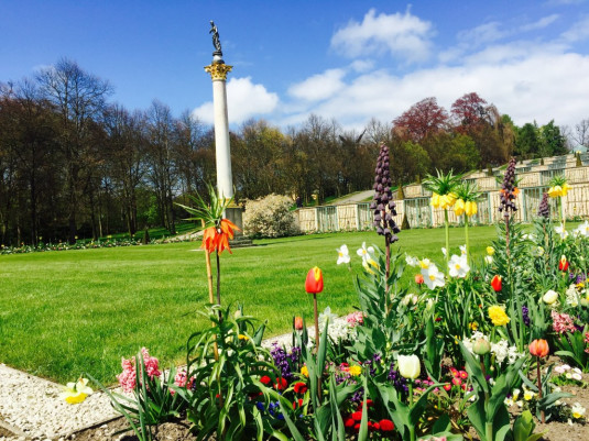 Frühling im Schlosspark