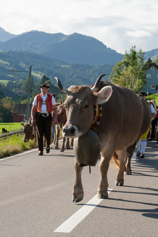 Alpabzug Urnäsch