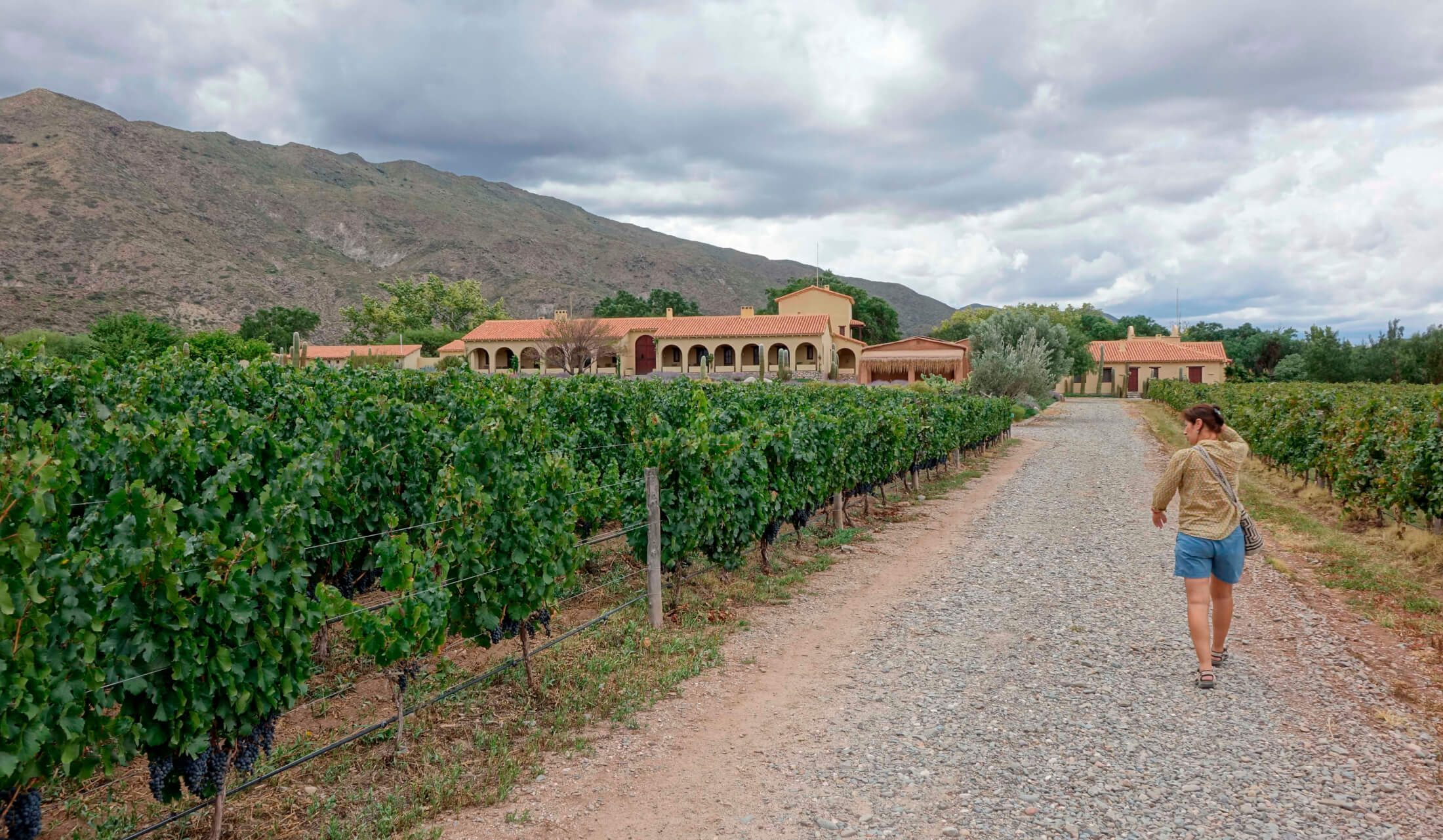 c Staffelbach Cafayate _DSC3665