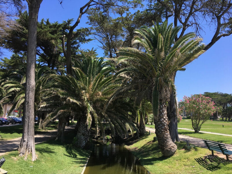 Park Estoril