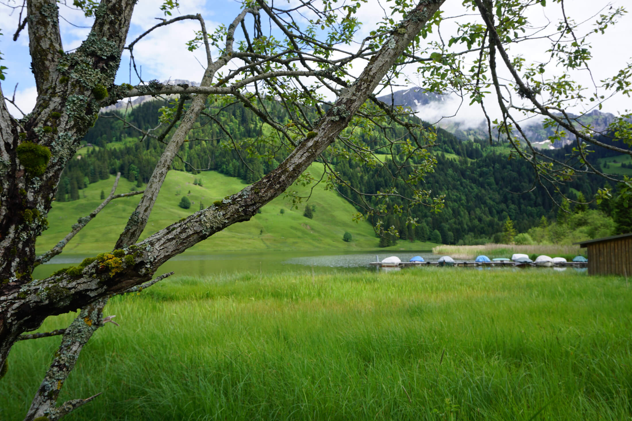 Schwarzsee Fribourg See