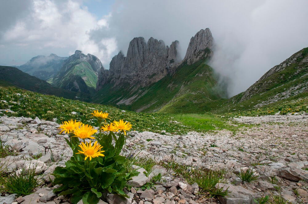 Säntis Wanderung Toggenburg Alpstein