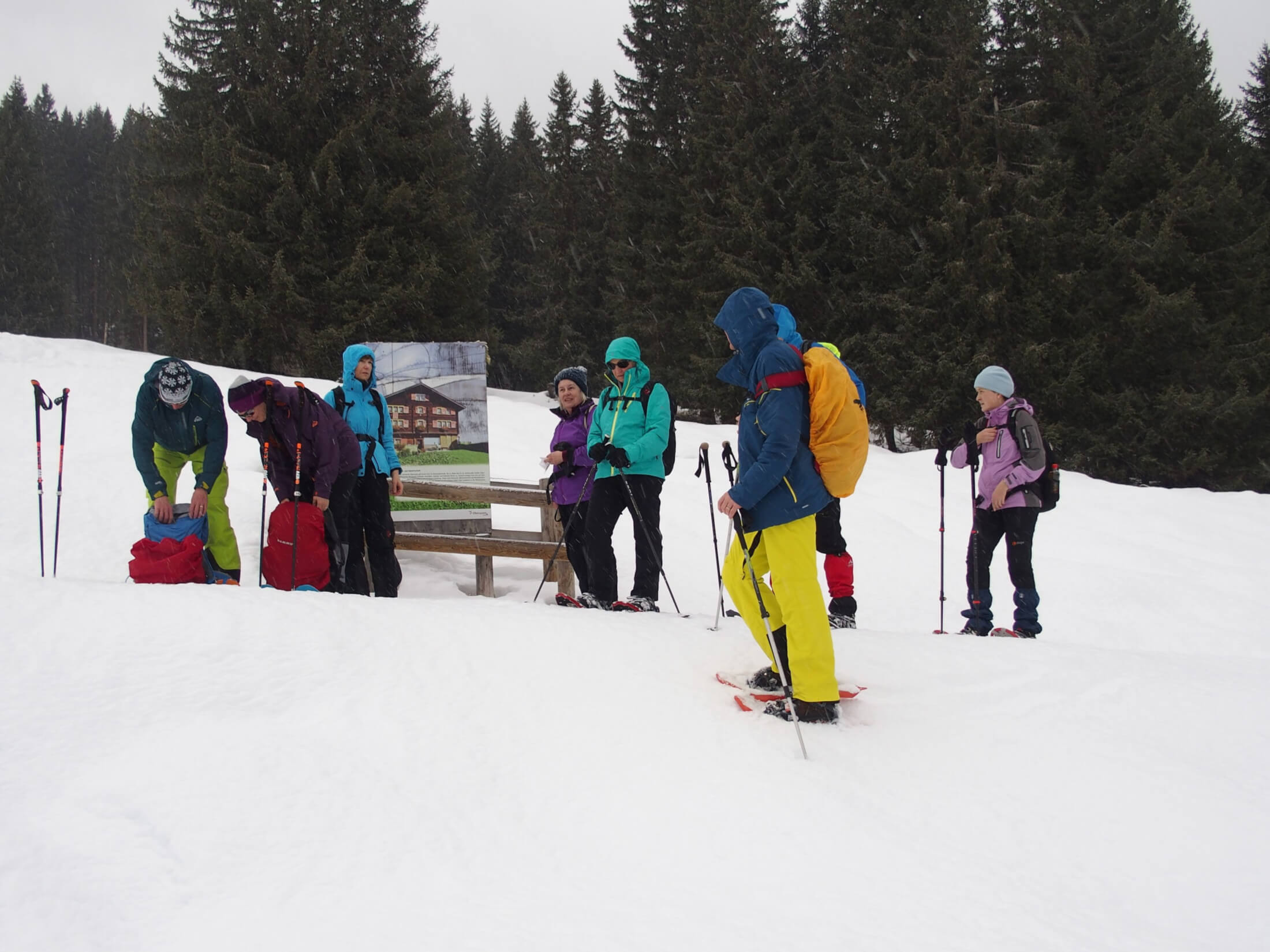 schneeschuh schneeschuhwanderung winter natur schneeschuhtour