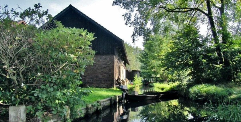 Spreewald – Mehr als saure Gurken