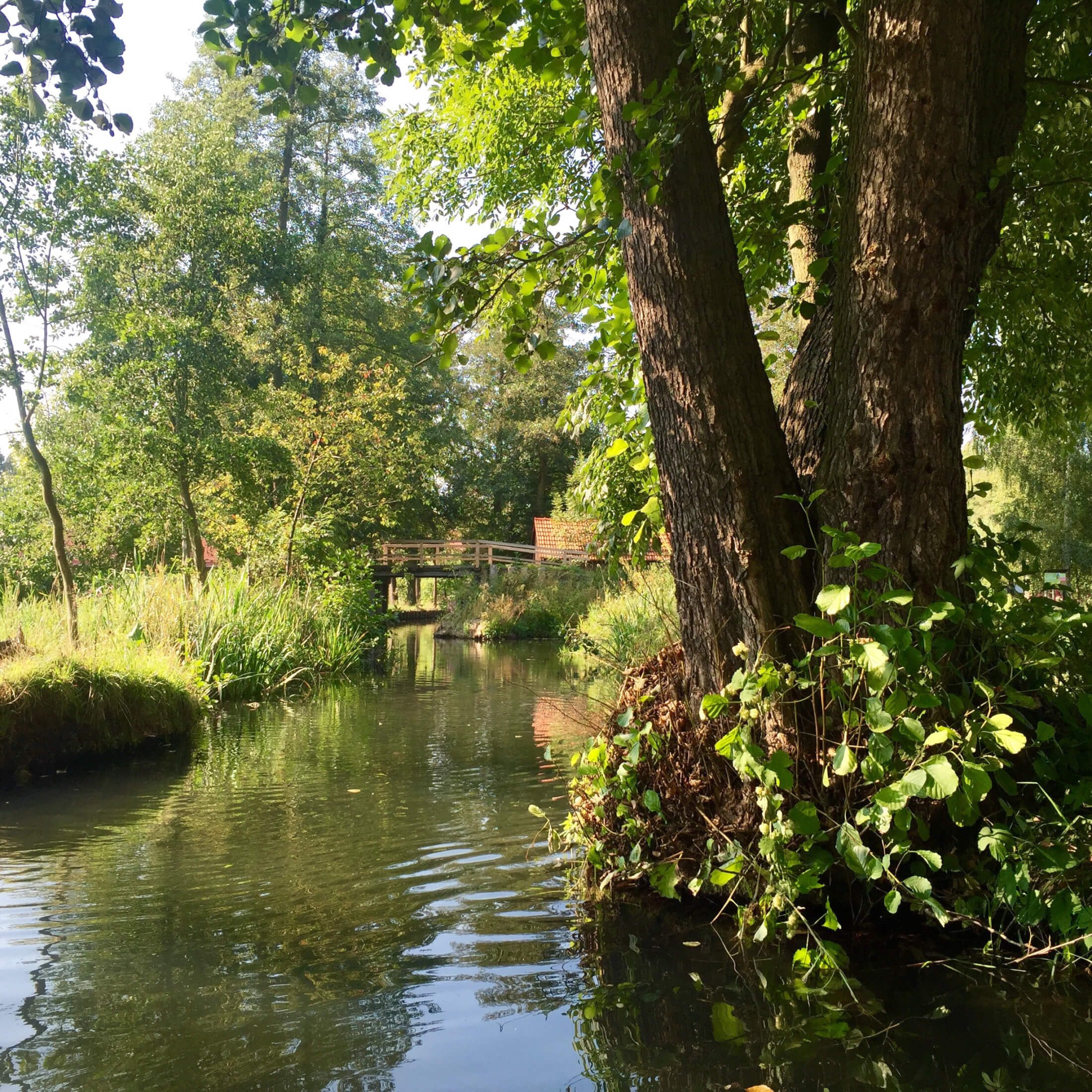 uberall kleine brucken Spreewald