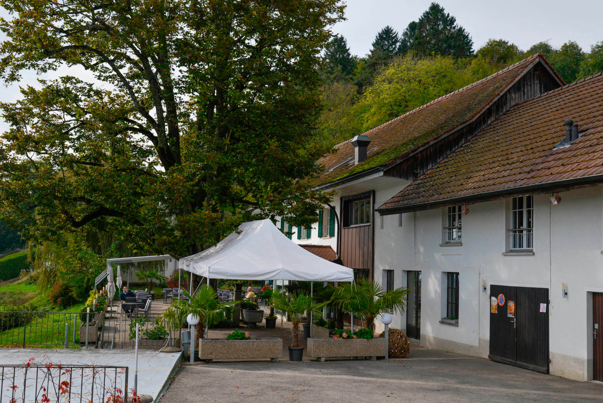 Murtensee Mont Vully