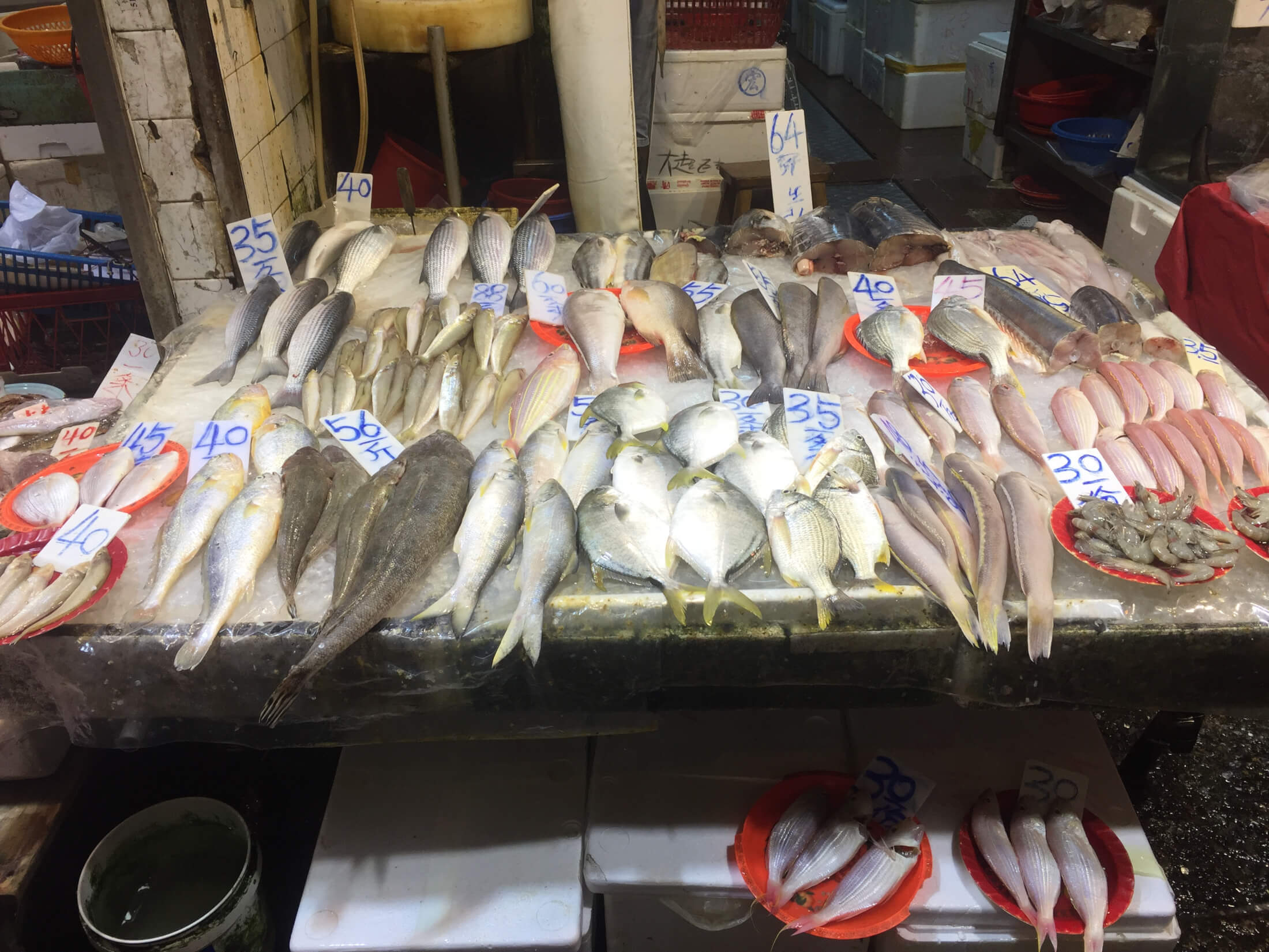hongkong fisch markt frisch
