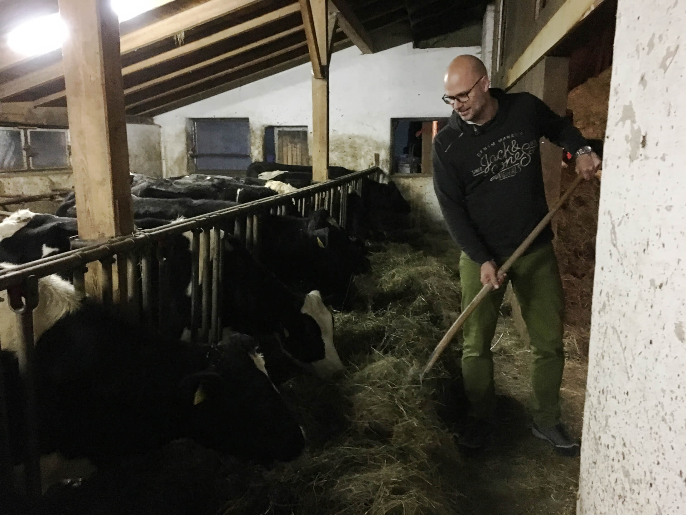 tirol herbst roter hahn ferien bauernhof stall