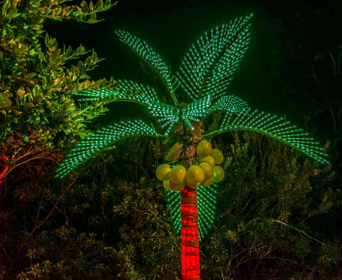 indien weihnachten palme