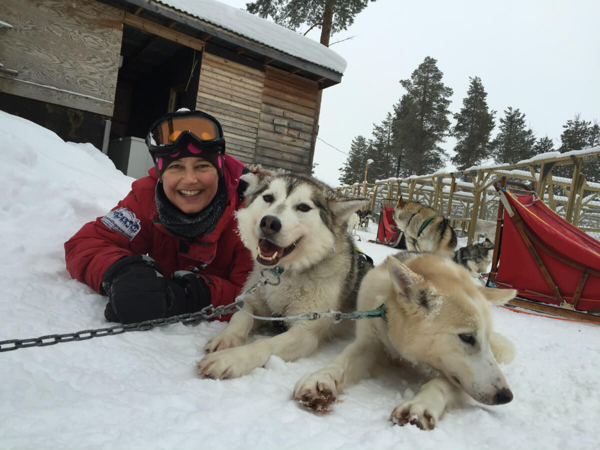 lappland-schweden huskys hundeschlitten mushen winter schnee