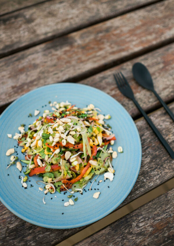 asiatischer-mango-sellerie-salat-zwei pfannen-kochen-camper