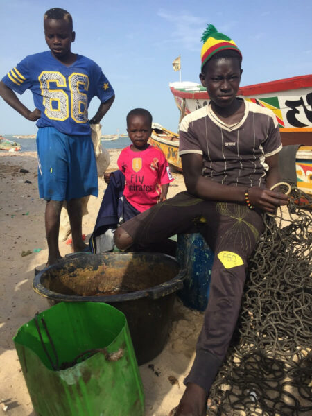 Senegal Fischer