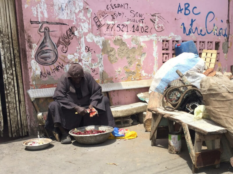 Senegal Markt