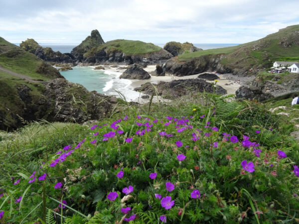Wanderung Cornwall Baumeler