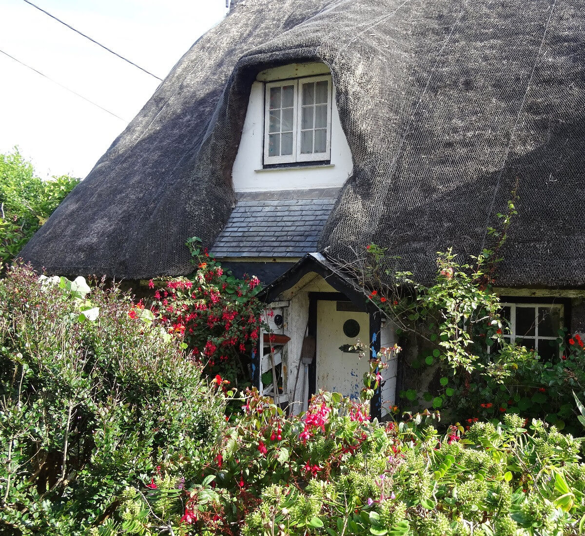 Meine Lieblingswanderung In Cornwall Travelistas Info Die Reise