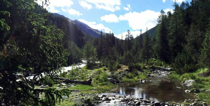 Familienwanderung auf dem Bärenweg in Scuol