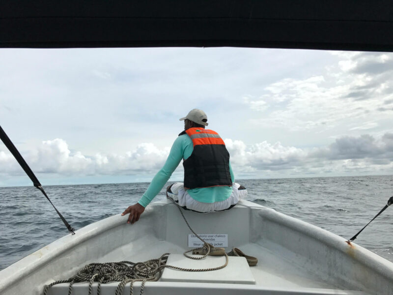 Whale Watching Nuqui Kolumbien