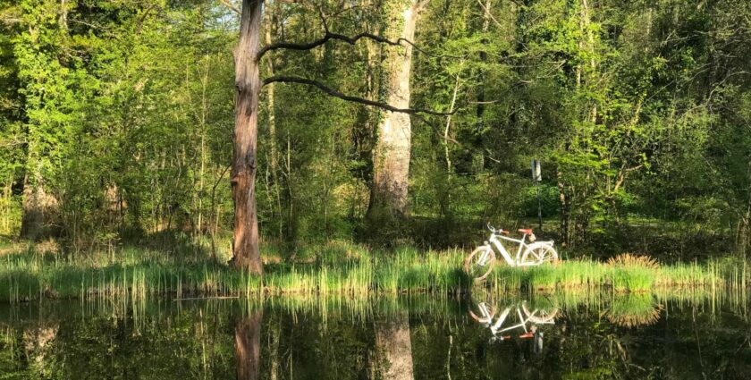 Eine grosse Liebe – mein neues E-Bike und ich