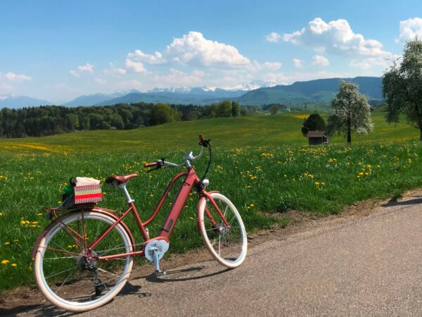E-Bike