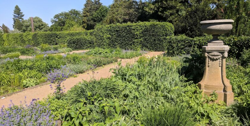 Ein Stück englische Gartenkultur und grüne Oase mitten in Berlin