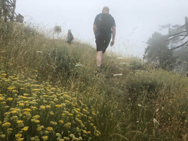 Grande-Traversata-Elbana-GTE-Elba-Wanderung