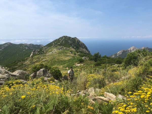 Grande-Traversata-Elbana-GTE-Elba-Wanderung