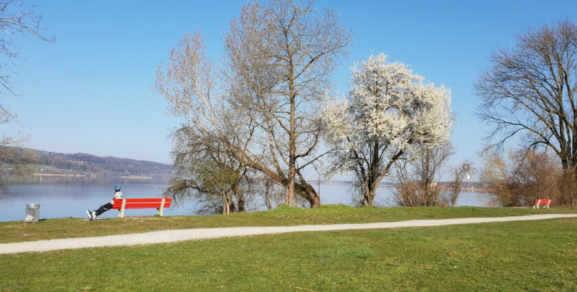 Polysportiver Greifensee