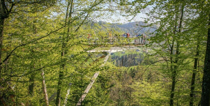 Baumwipfelpfad Neckertal – Wald spüren, erleben und geniessen