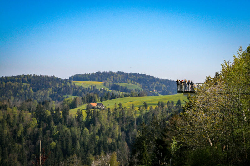 Aussicht vom Baumwipfelpfad Neckertal