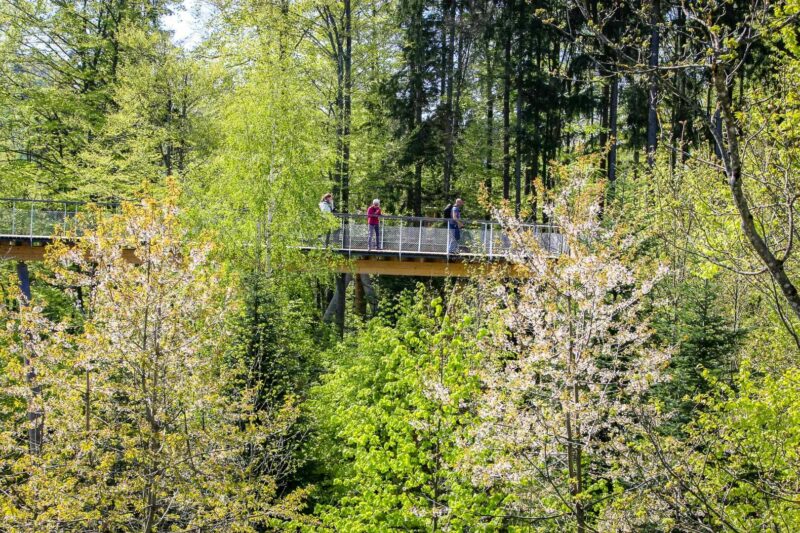 Baumwipfelpfad Neckertal