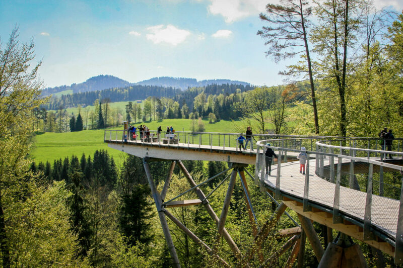 Aussicht vom Baumwipfelpfad Neckertal