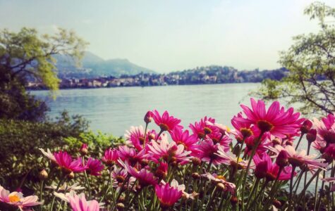 isola-madre-four