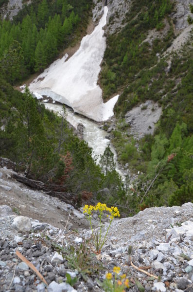 Nationalpark Zernez