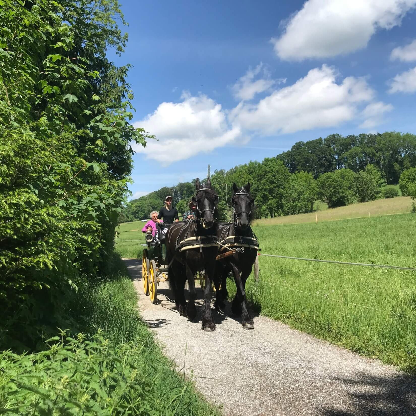 Travelistas_haengeseilbruecke_Beugenfall