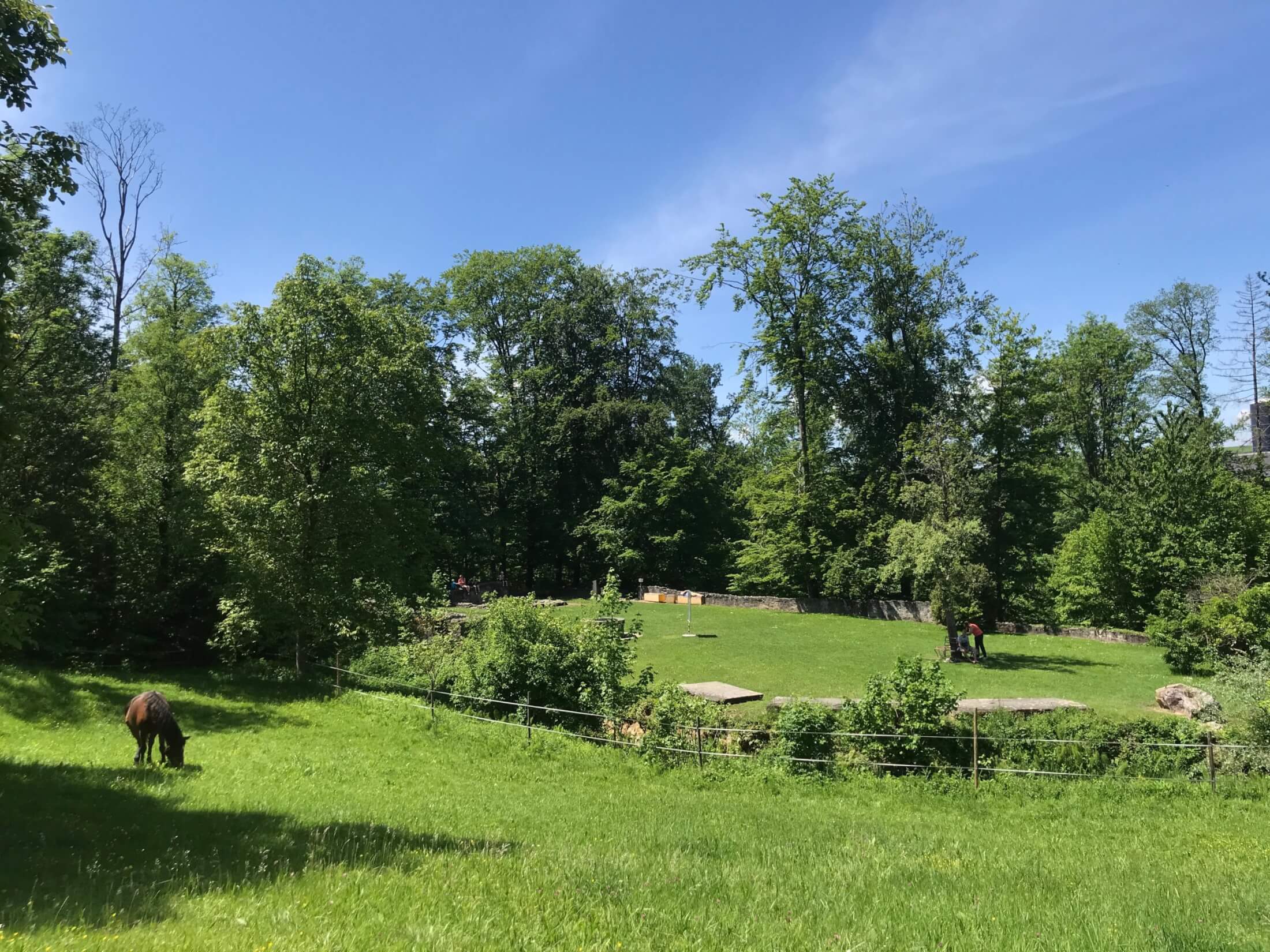 Travelistas_haengeseilbruecke_Beugenfall_Wald